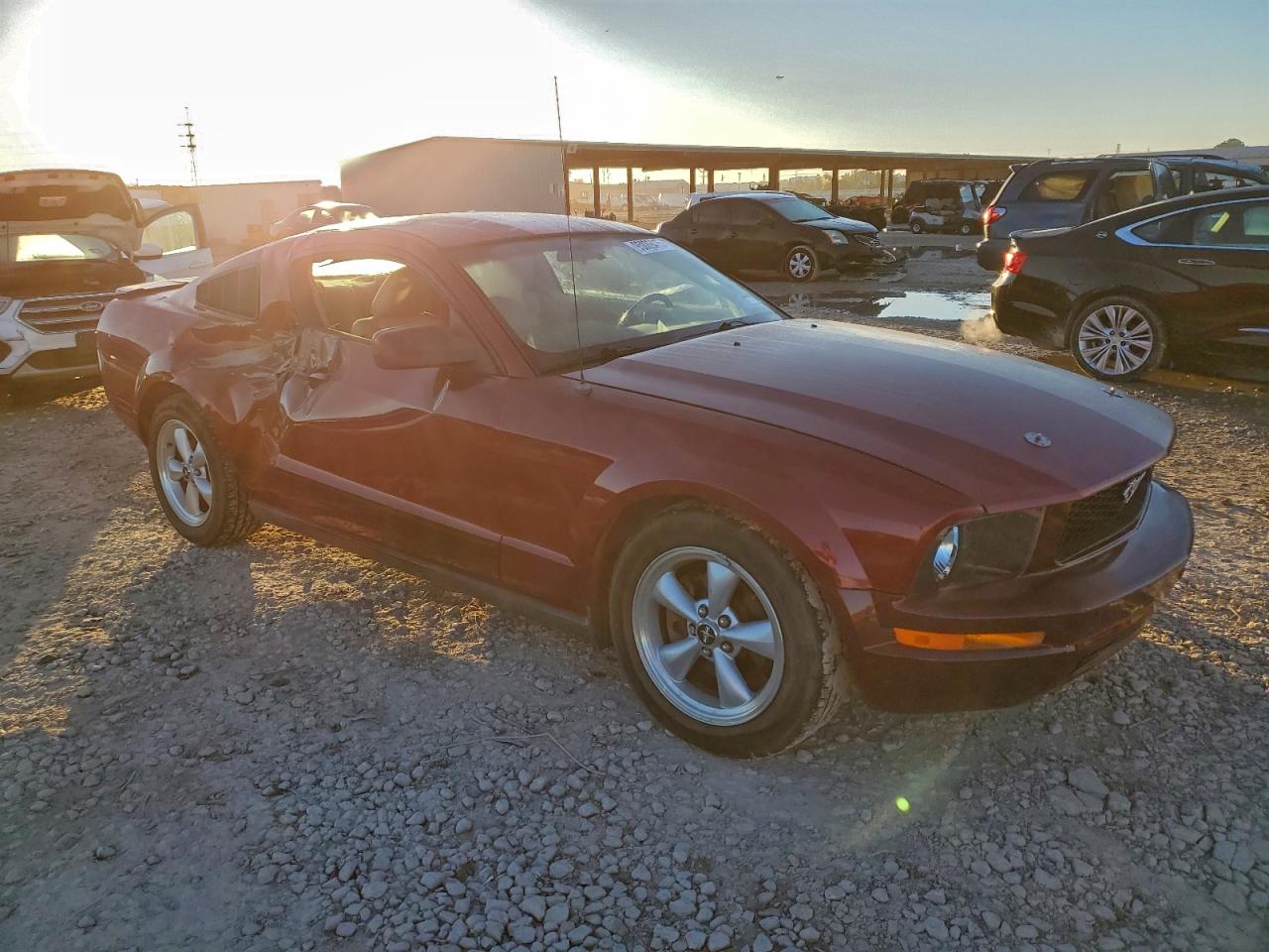 Lot #3311609263 2009 FORD MUSTANG