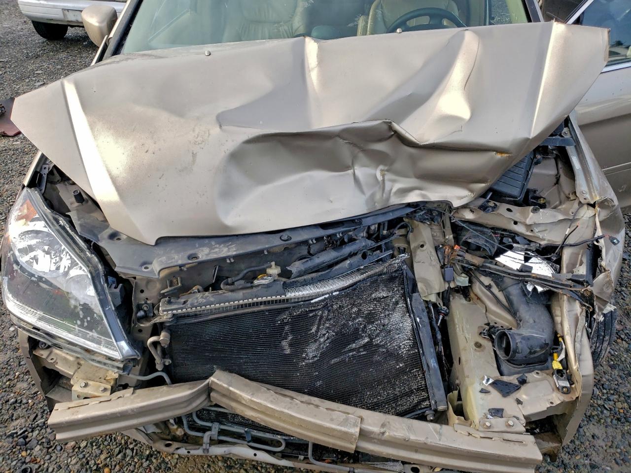 Lot #3317738073 2005 HONDA ODYSSEY EX