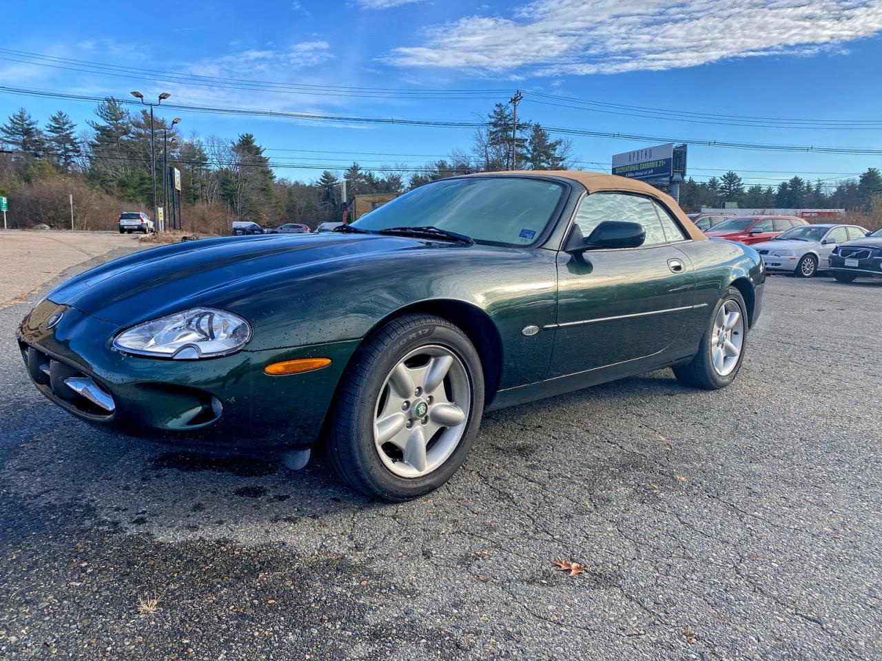 Lot #3304518456 1997 JAGUAR XK8