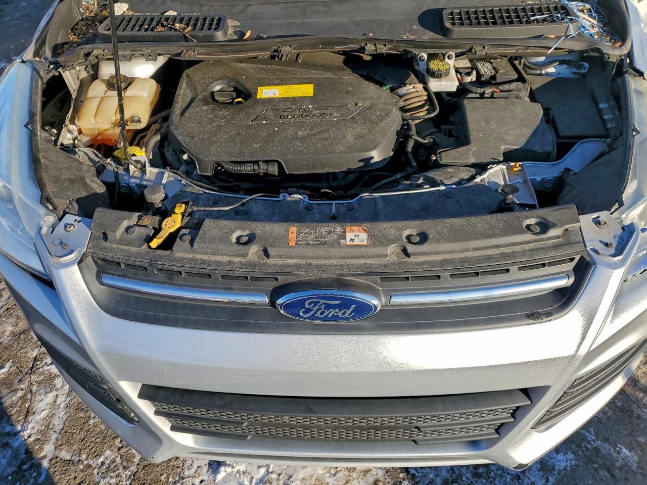 Lot #3317704110 2016 FORD ESCAPE SE