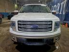 Lot #3305331348 2014 FORD F150 SUPER