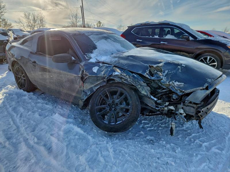 2014 FORD MUSTANG #3309480576