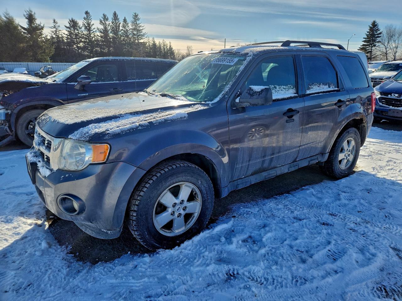 FORD ESCAPE XLT