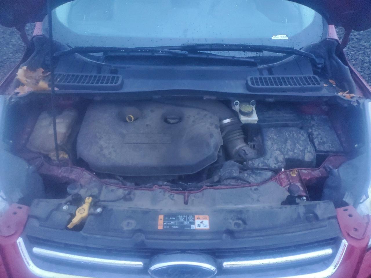 Lot #3309259617 2014 FORD ESCAPE TIT