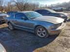 Lot #3306393531 2008 FORD MUSTANG