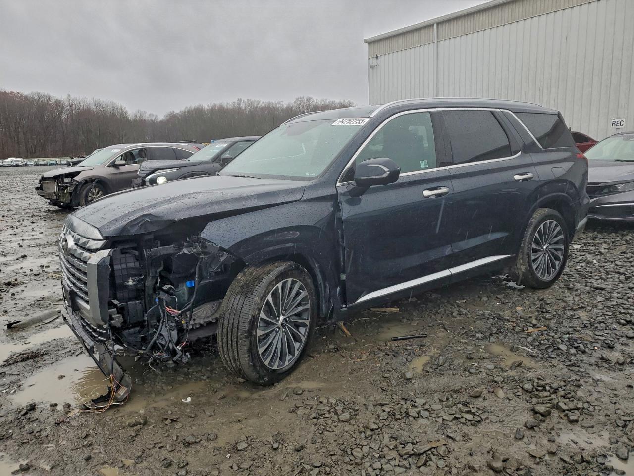 HYUNDAI PALISADE CALLIGRAPHY