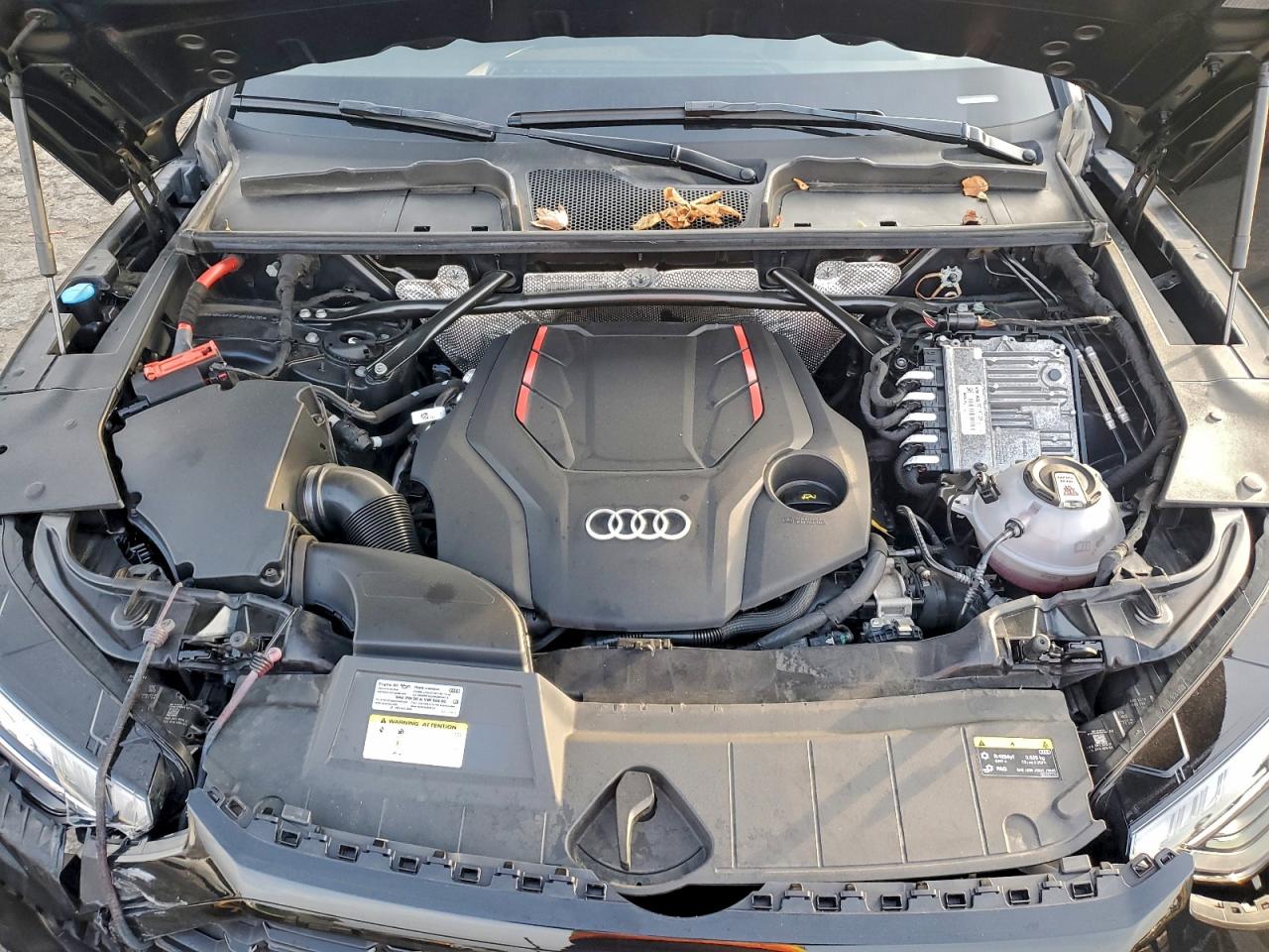 AUDI SQ5 PREMIUM PLUS