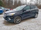 Lot #3301661649 2018 FORD ESCAPE SE