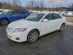 Lot #3303572940 2010 TOYOTA CAMRY BASE