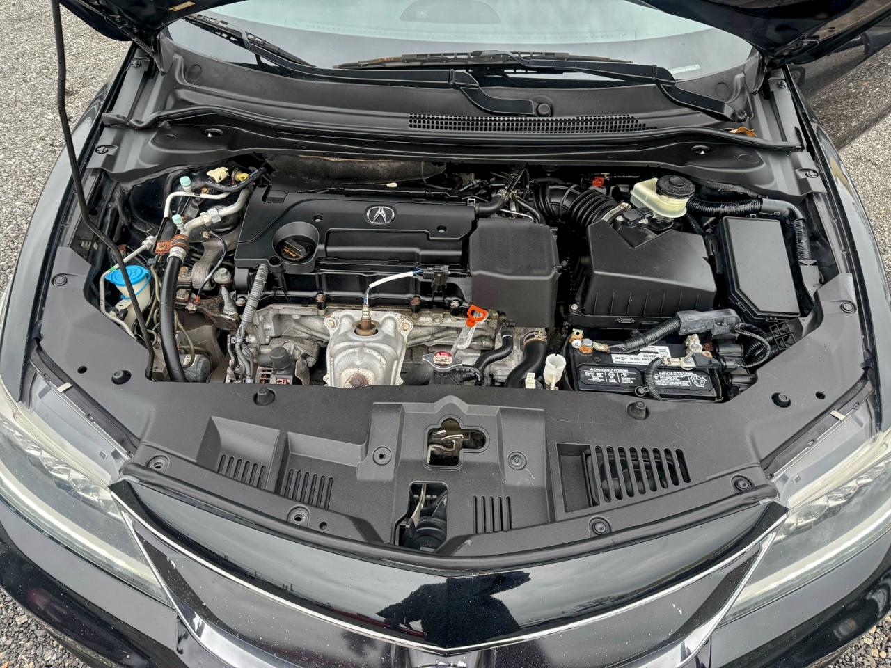 Lot #3315785353 2018 ACURA ILX SPECIA