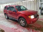 Lot #3304632943 2012 FORD ESCAPE XLT