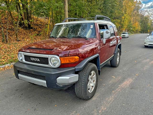2010 TOYOTA FJ CRUISER #3305355334