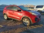 Lot #3312704294 2018 KIA SPORTAGE L
