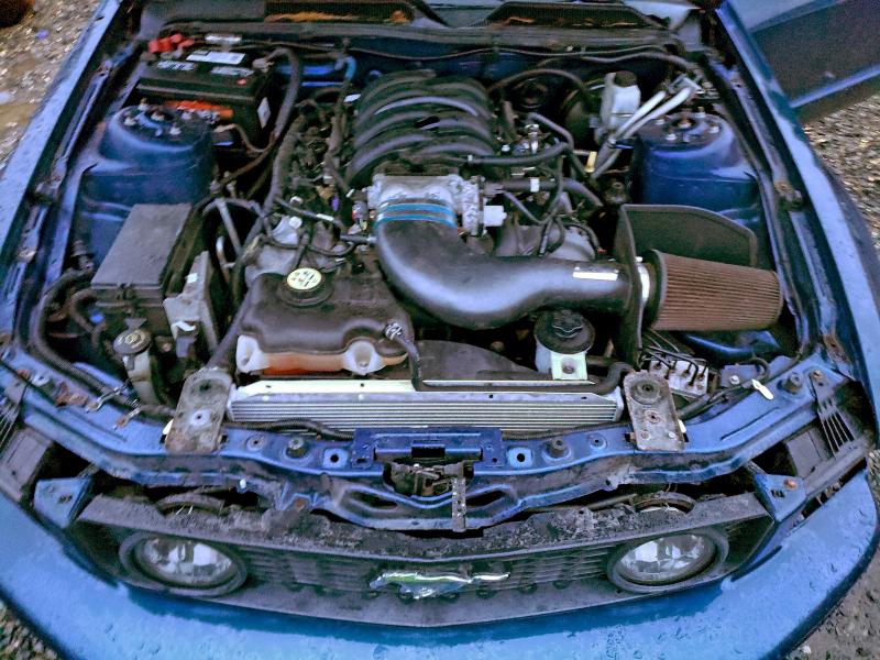 2009 FORD MUSTANG GT #3317077003