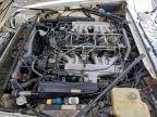 Lot #3317765068 1989 JAGUAR XJS