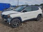 Lot #3316646485 2025 JEEP COMPASS LI