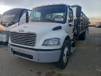 Lot #3303738438 2016 FREIGHTLINER M2