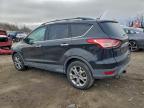 Lot #3310438307 2013 FORD ESCAPE SEL