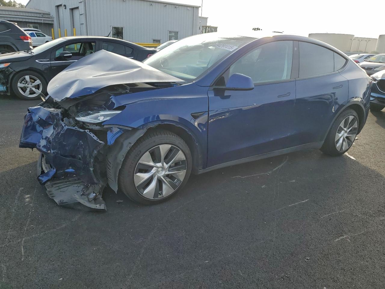 Lot #3310691775 2022 TESLA MODEL Y