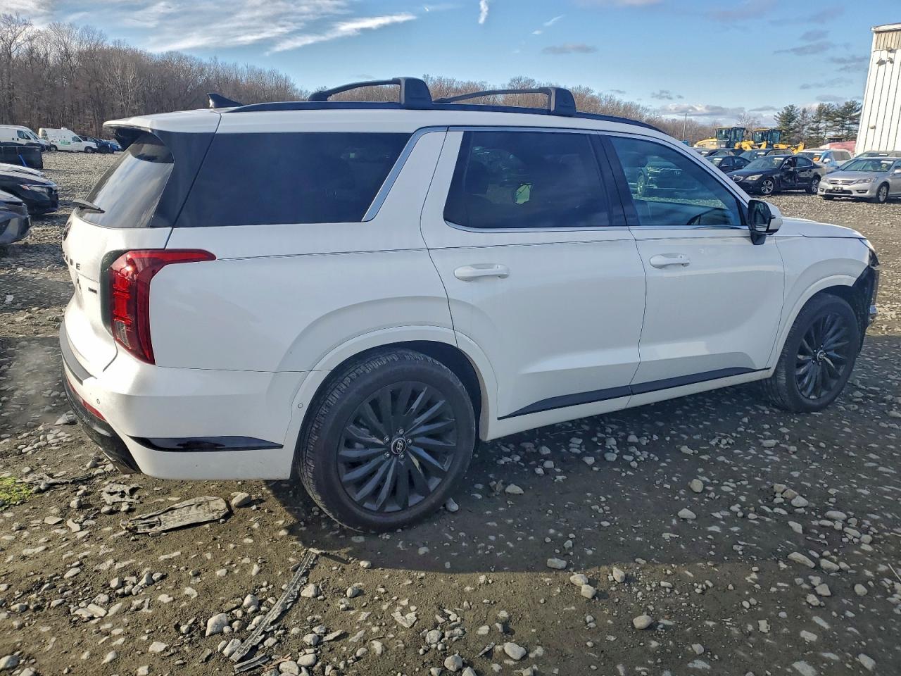 HYUNDAI PALISADE CALLIGRAPHY