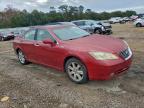 Lot #3317969912 2009 LEXUS ES 350