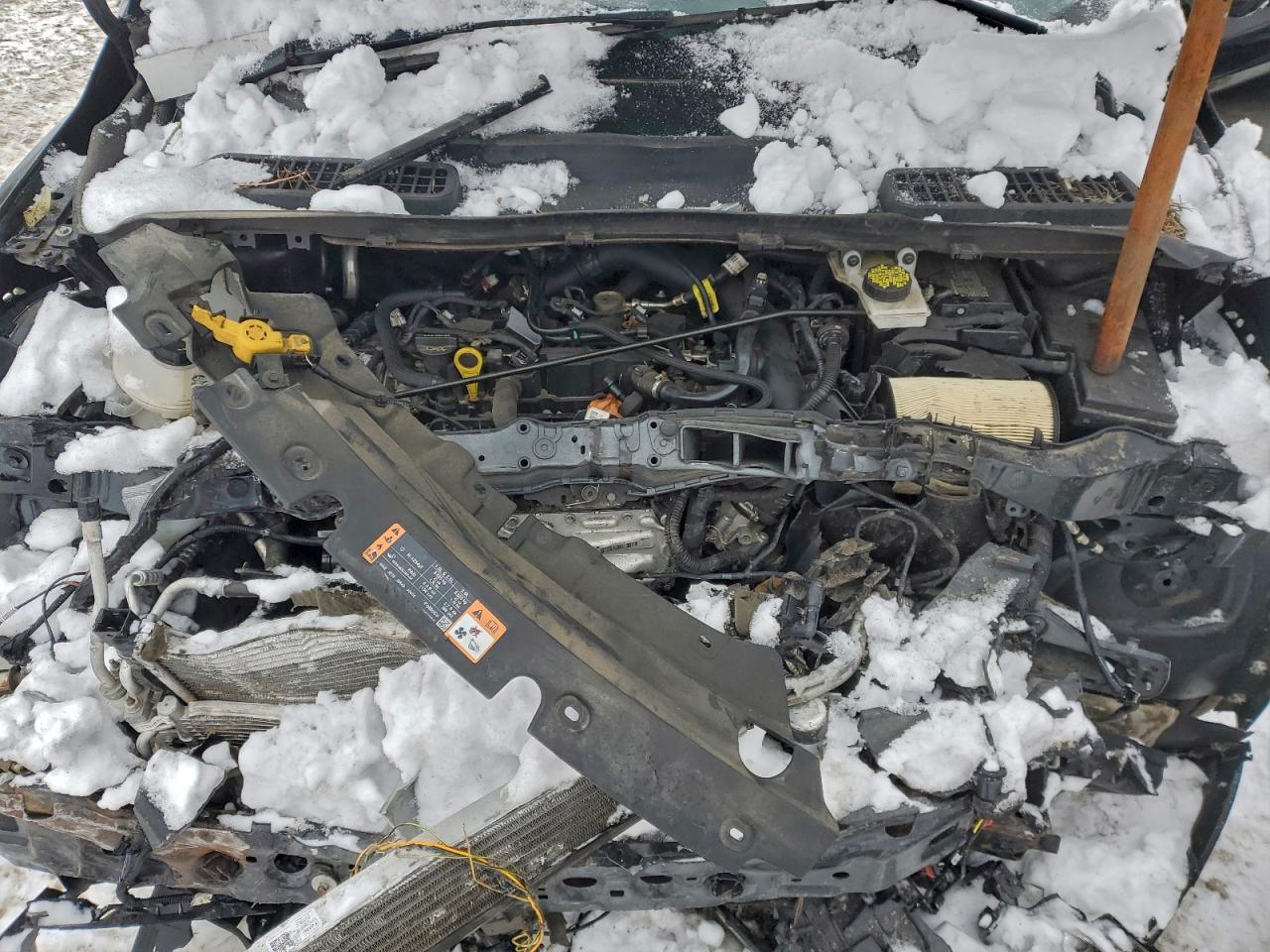 Lot #3304607462 2019 FORD ESCAPE SE