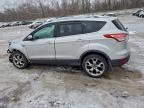 Lot #3304671953 2015 FORD ESCAPE TIT