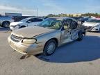 Lot #3310343986 2005 CHEVROLET CLASSIC