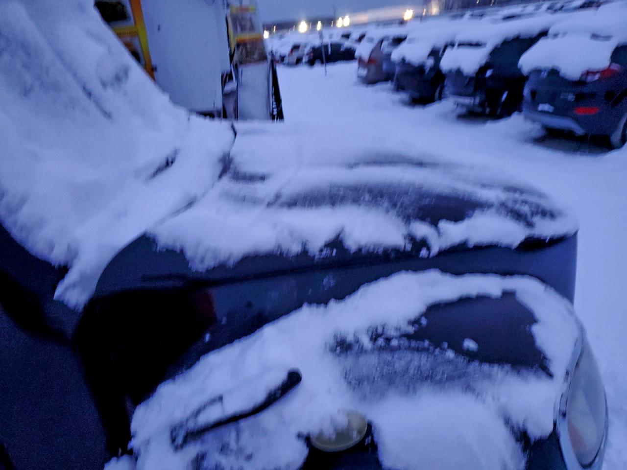 Lot #3317822193 2012 FREIGHTLINER M2