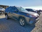Lot #3304239990 2020 TOYOTA RAV4 LE