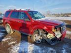 Lot #3308281216 2010 FORD ESCAPE XLT