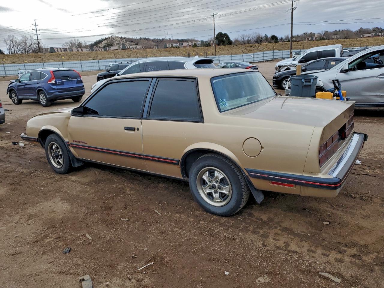 Lot #3304901579 1985 CHEVROLET CELEBRITY