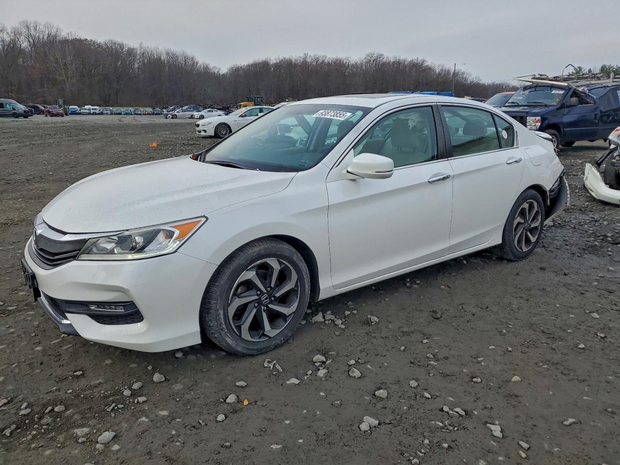 HONDA ACCORD EX