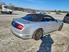 Lot #3304579483 2018 FORD MUSTANG