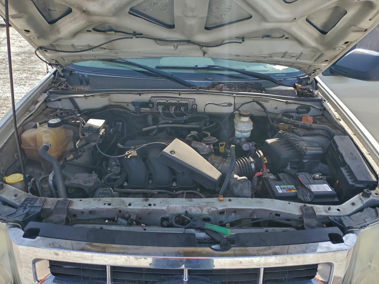 Lot #3309497600 2008 FORD ESCAPE XLT