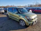 Lot #3318998354 2013 KIA SOUL