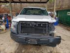 Lot #3304750940 2016 FORD F150 SUPER