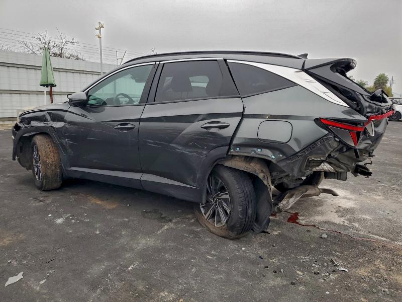 2023 HYUNDAI TUCSON BLU #3319841263