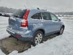 Lot #3302649036 2007 HONDA CR-V EXL
