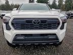 Lot #3312616216 2024 TOYOTA TACOMA DOU