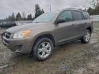 Lot #3305334339 2012 TOYOTA RAV4