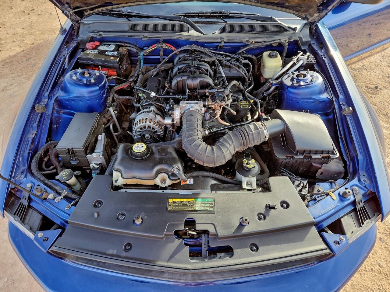 Lot #3315878080 2007 FORD MUSTANG