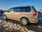 Lot #3316877147 2003 HONDA ODYSSEY EX