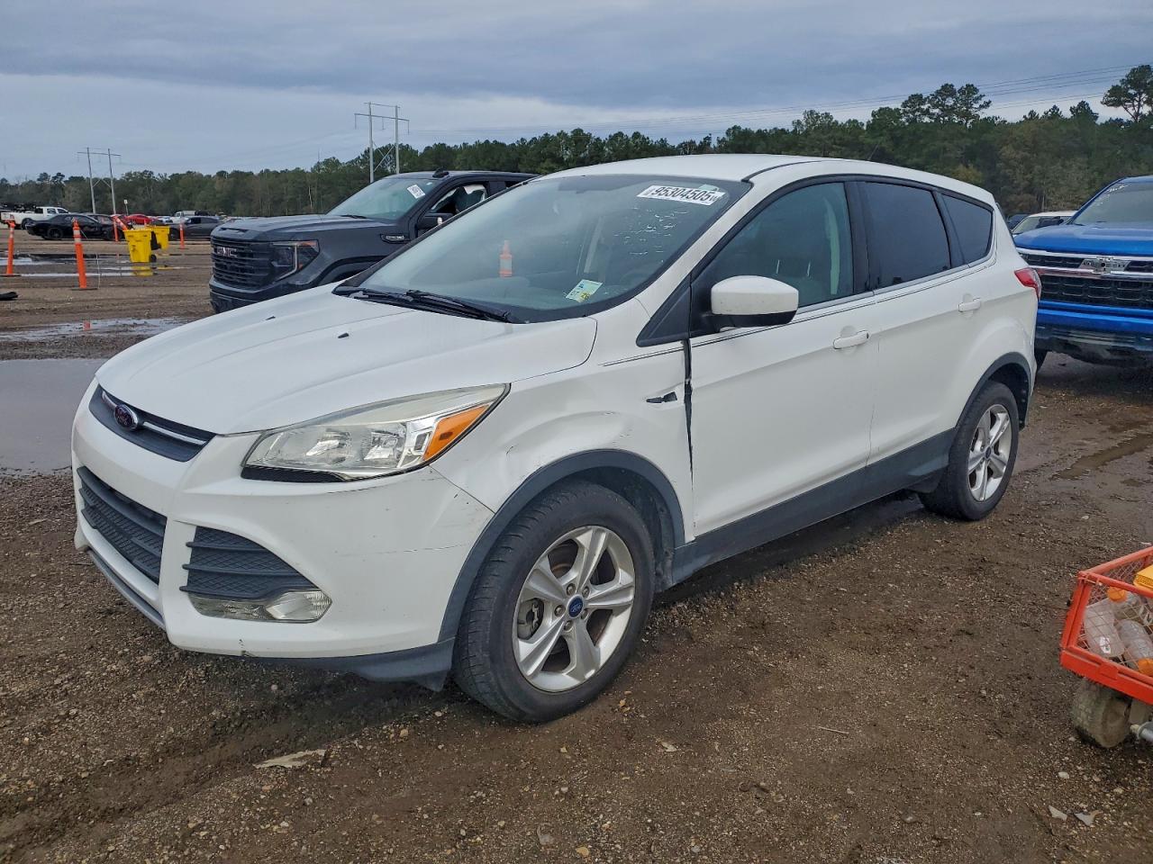 Lot #3305321301 2016 FORD ESCAPE SE