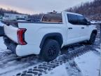 Lot #3309347977 2022 TOYOTA TUNDRA CRE
