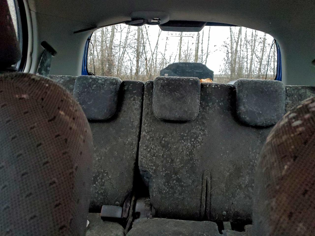 Lot #3311800220 2009 TOYOTA YARIS