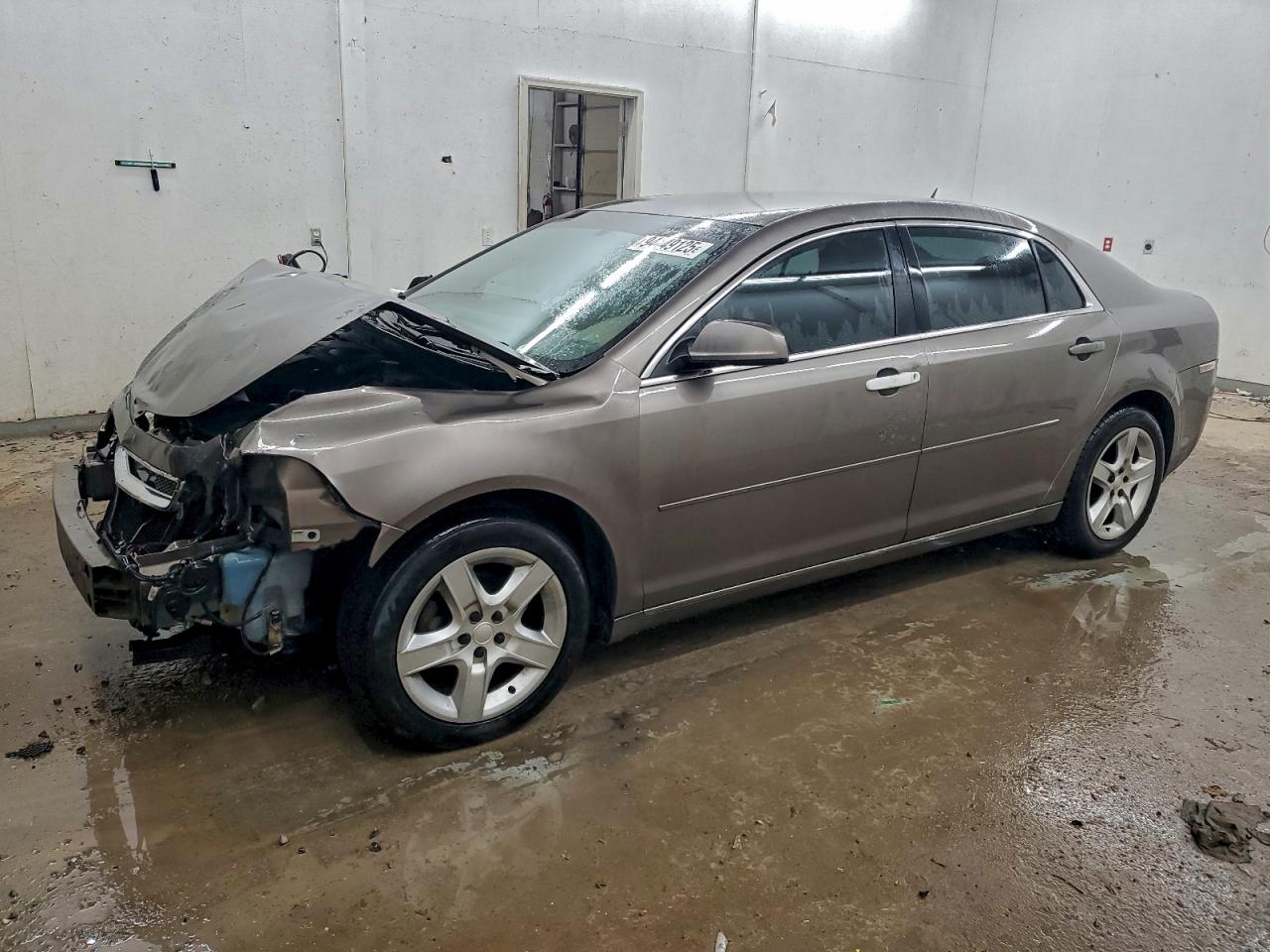 CHEVROLET MALIBU 1LT