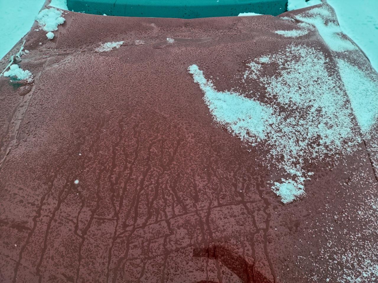 Lot #3316189900 2019 VOLVO XC90 T6 R-