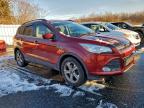 Lot #3304714930 2016 FORD ESCAPE SE