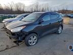 Lot #3304516483 2013 HYUNDAI TUCSON GLS
